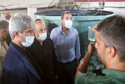 دعوت از سرمایه گذاران جهت رفع موازنه منفی در حوزه پروتئینی خوزستان 