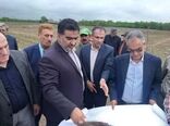 یکپارچه‌سازی ۶۵ هزار هکتار زمین کشاورزی شمال کشور با سرمایه‌گذاری چینی‌ها