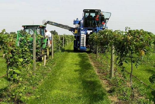 مکانیزاسیون باغی در ایران مغفول مانده است/ حلقه گمشده باغبانی ایران