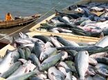 رونمایی از بسته سرمایه‌گذاری الکترونیک شیلات
