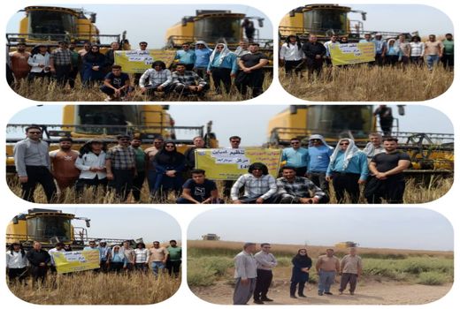 کاهش افت محصول با تنظیم کمباین‌ها در شوشتر