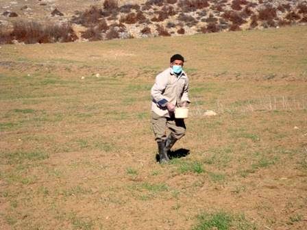 مبارزه با جوندگان مضر در 3600 هکتار از اراضی زراعی بهشهر