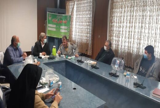 وضعیت کشت کلزا در مزارع کشاورزی شهرستان تاکستان بررسی شد