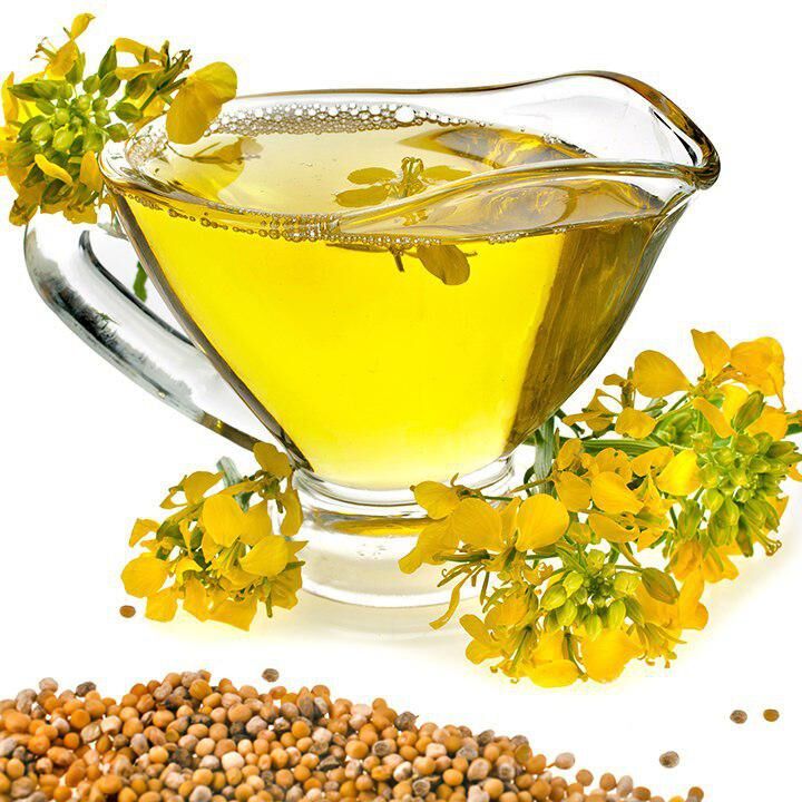 برداشت کلزا از 1275 هکتار مزارع کرمان/ افزایش 3 برابری تولید کلزا