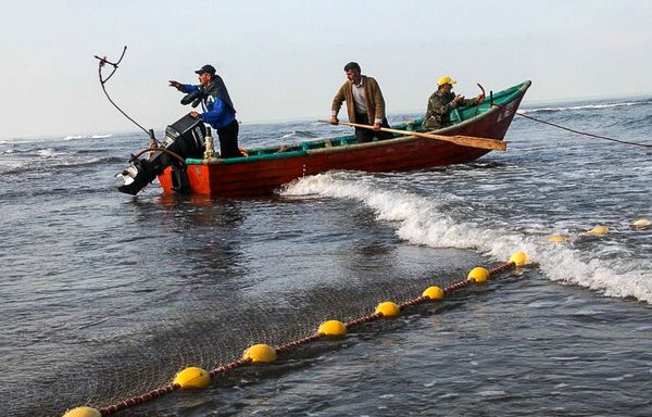 صیادان گیلانی مشمول تخفیف 10 درصدی بیمه تأمین اجتماعی شدند/ تور 4000 صیاد در سه استان شمالی کشور پهن شد