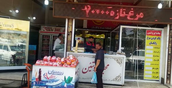 توزیع و عرضه ۲۶۰ تن مرغ کشتار روز در سطح بازار آذربایجان غربی 