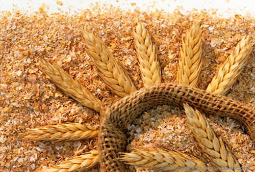 توزیع 150 تنی سبوس یارانه‌ای بین دامداران آمل