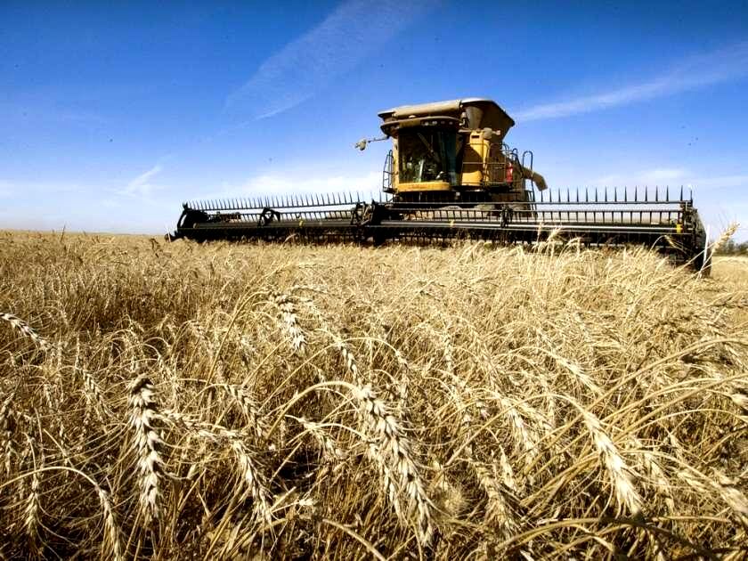قیمت‌گذاری و مالیات انتشار کربن، از سال 2018 تا 2022 انجام شود/ سیاست‌های دونالد ترامپ اقتصاد سبز کانادا را منزوی می‌کند