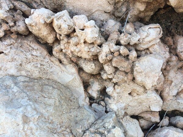 چالش های تولید کنندگان محصولات کشاورزی در برابر خاک قلیایی