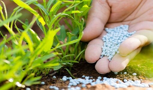 اختلالی برای تولید اوره در کشور پیش نیامده است
