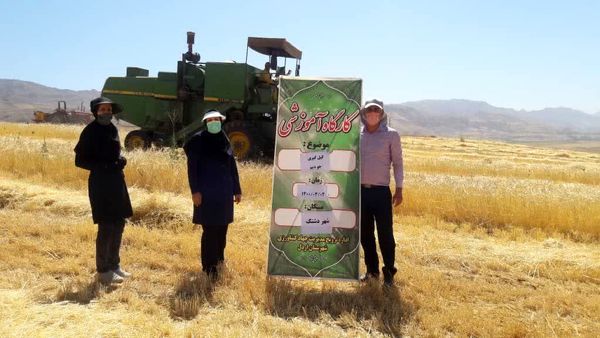 عملیات کیل گیری از مزارع شهرستان اردل آغاز شد 