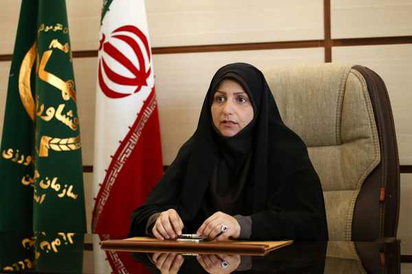 یکپارچه سازی اراض موجب توسعه کشاورزی می‌شود