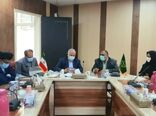 ضرورت برندسازی محصولات کشاورزی استان سیستان و بلوچستان