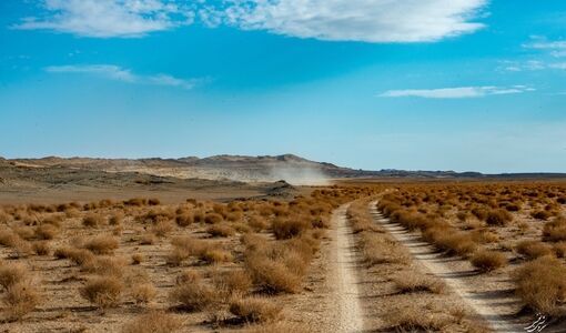 ۱۴ میلیون هکتار بیابان بحرانی؛ از هشدارهای جهانی تا راهکارهای بومی ایران