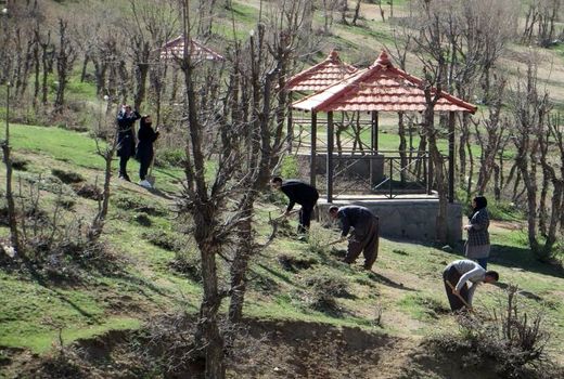 مشارکت اجتماعی در مدیریت منابع طبیعی باید مبتنی بر تصمیم‌گیری جمعی باشد