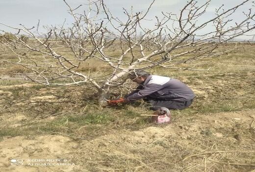 اشتغال‌ جدید در بخش کشاورزی ارسنجان 