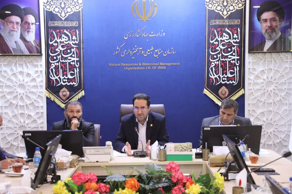 ضرورت استفاده هدفمند از ظرفیت سازمان نظام مهندسی در اجرای طرح‌های منابع طبیعی