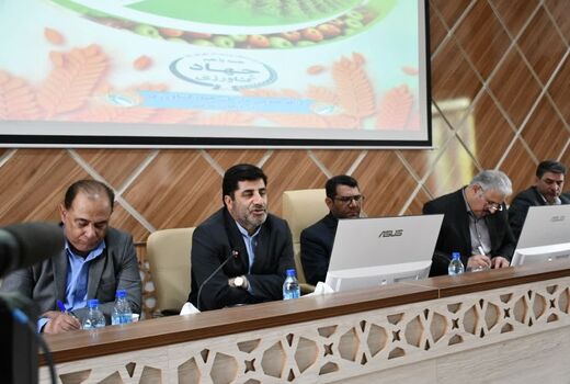 برداشت بیش از 3 تن گندم در مزارع دیم آذربایجان شرقی توسط کشاورزان پیشرو