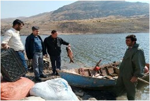 پرورش ماهی گرم آبی درسد قلعه چای شهرستان عجب شیر به مساحت240 هکتار