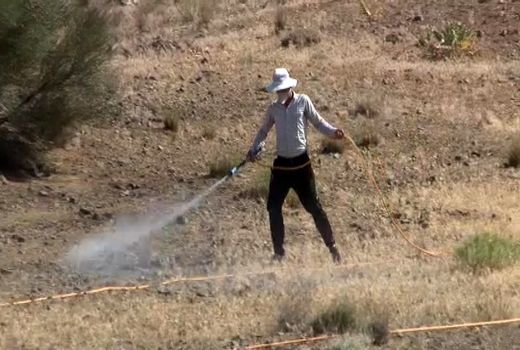 سمپاشی بیش از ۱۰ هزار هکتار از مراتع شهرستان لنجان