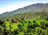 آینده جنگل‌های زاگرس در گرو مشارکت آگاهانه مردم است