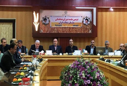 ۵۰۰ میلیون دلار محصولات شیلاتی صادر شد