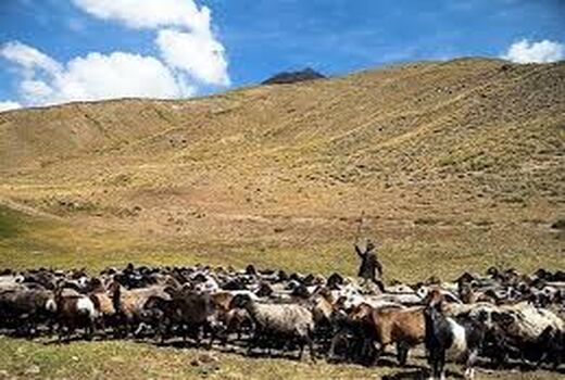 جامعه عشایری سهم مهمی در خودکفایی کشور دارند