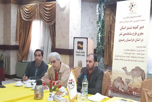 تاسیس تعاونی شترداران خراسان رضوی در آینده ای نزدیک