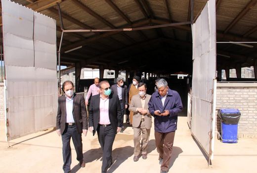  کشت و صنعت فجر صفا ظرفیتی بی‌نظیر برای تولید، اشتغال و تحقق شعار جهش تولید  در لرستان