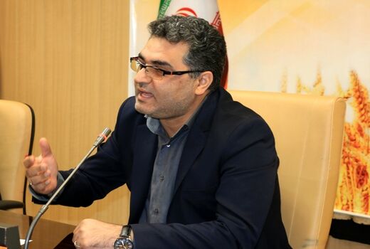 ۲ برابر شدن قیمت خرید تضمینی گندم حرکتی استراتژیک است