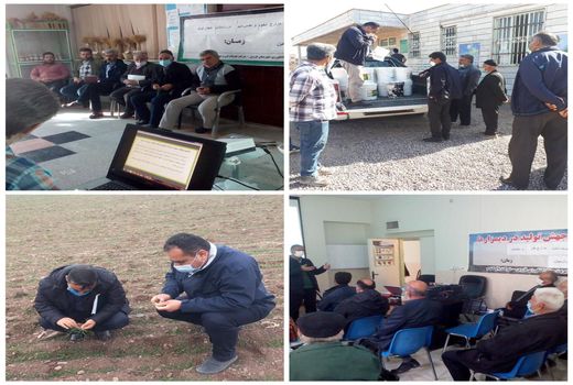 اجرایی شدن طرح جهش تولید در بیش از شش هزار هکتار از دیمزارهای شهرستان قزوین