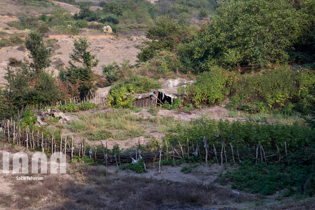 روستای ساسنگ