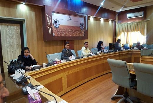 جذب 80 درصد از اعتبارات مشاغل خانگی در سال98 در استان مرکزی 