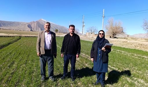 پایش مستمر مزارع و فرآیند توزیع نهاده ها در مرودشت