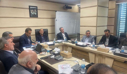 هوشمندسازی نظارت بر فرآیند تولید و عرضه برنج/ واردات نباید به برنج‌کاران آسیب بزند