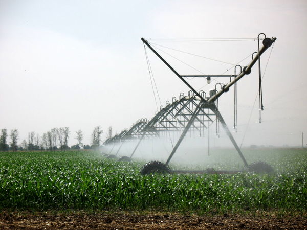 ۴۴ طرح کشاورزی در چهارمحال و بختیاری آماده بهره‌برداری شد