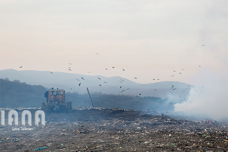 زباله دانی به وسعت یک جنگل