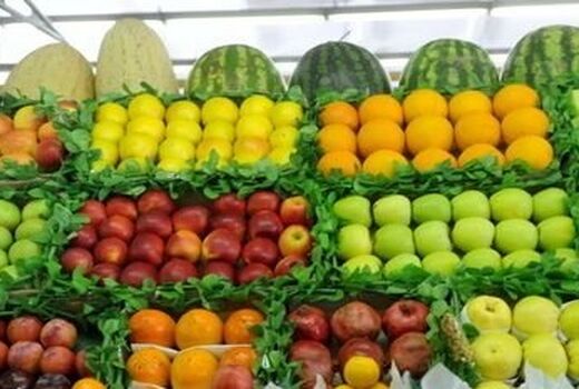 کمبودی در عرضه میوه شب یلدا وجود ندارد
