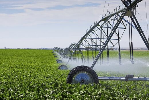  اجرای سامانه های نوین آبیاری در 7048 هکتار از اراضی استان
