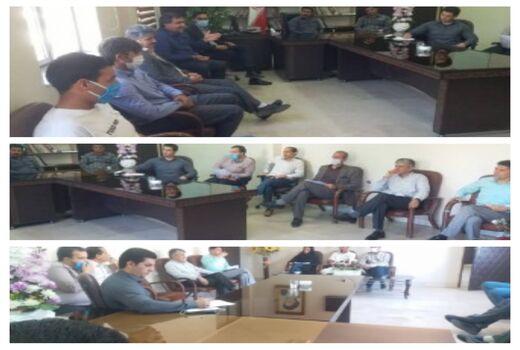 آغاز خرید حمایتی گوجه فرنگی توسط تعاون روستایی جنوب کرمان با قیمت ۱۰۰۰ تومان