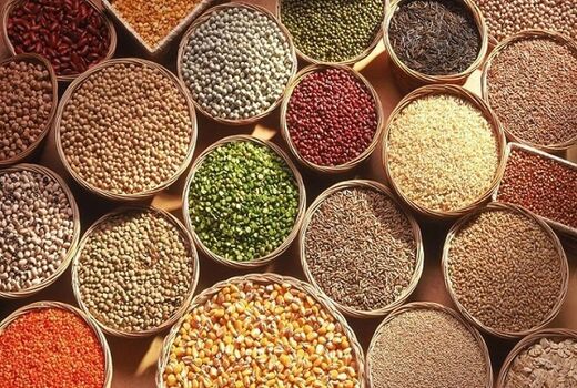 تامین بیش از 25 هزار تن بذر رسمی
