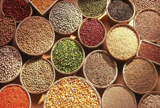 تامین بیش از 25 هزار تن بذر رسمی