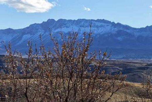 سرمازدگی ۱۴ میلیارد ریال به باغات شهرستان اردل خسارت زد