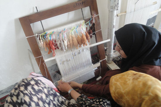 حمایت از مشاغل خانگی روستایی با کمک جهاد دانشگاهی