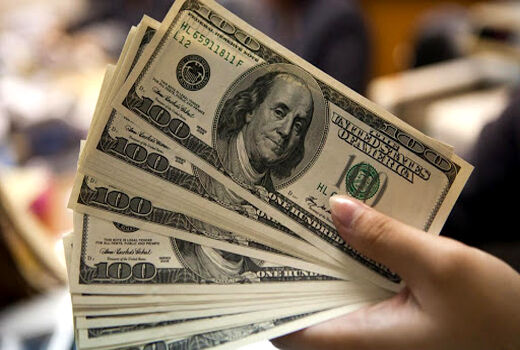 شبکه رانتی پشت پرده واردات با ارز دولتی