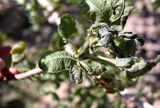 خسارت ۲ هزار میلیاردی  گرما و سرما