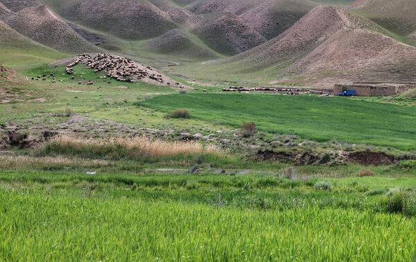 سیاست های ملی مرتع کشور تدوین می شود