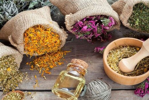 گیاهان دارویی را از خام‌فروشی به زنجیره ارزش برسانیم