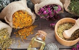گیاهان دارویی را از خام‌فروشی به زنجیره ارزش برسانیم