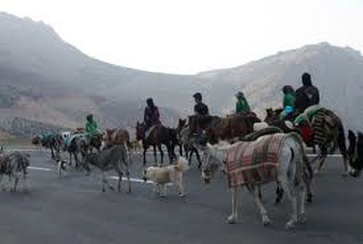 ممنوعیت کوچ زود هنگام بهاره